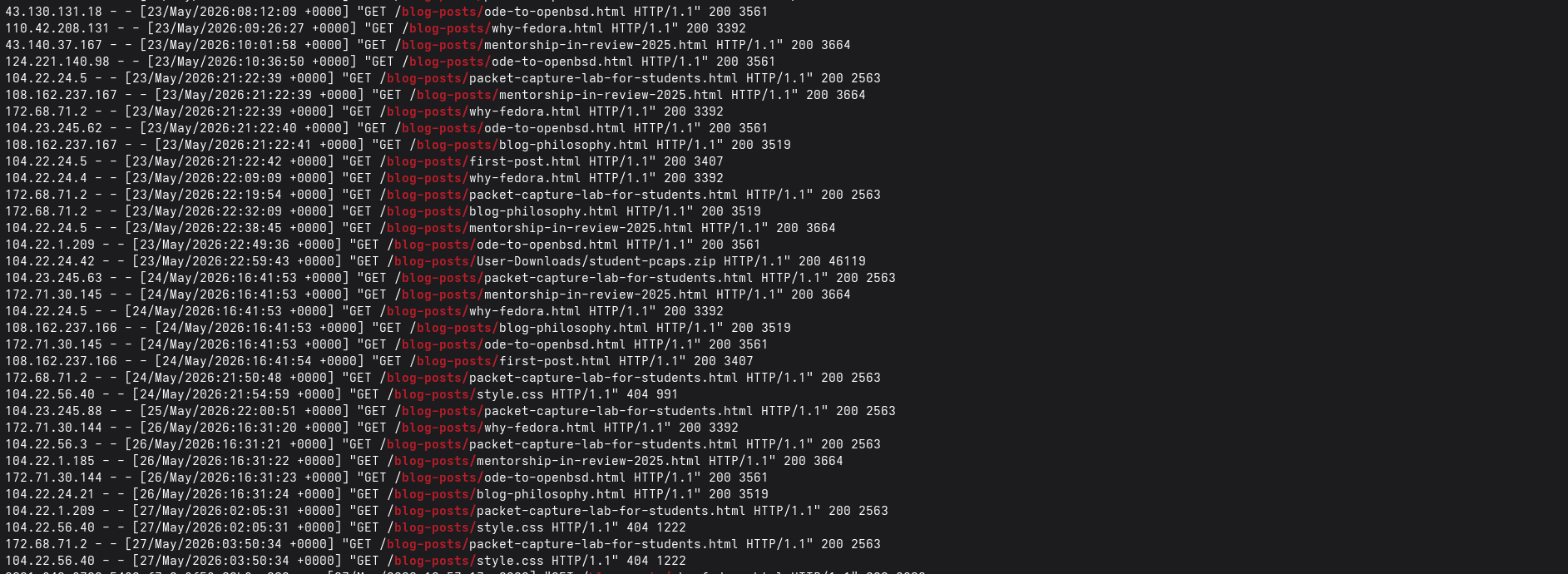 Website Example Log 2